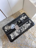 Dior luggage