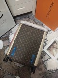 Louis Vuitton luggage