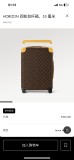 Louis Vuitton luggage