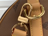 Louis Vuitton Women's Bag Shoulder Crossbody Luxury Crossbody Handbag Calfskin w/ naOriginil Box