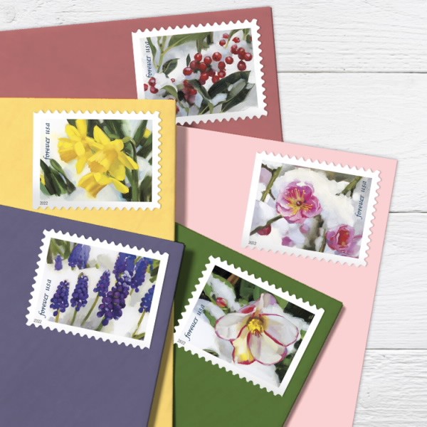 Forever Postage Stamps Roll of 100 self-Stick First Class Wedding  Celebration Anniversary Flower Party (1)