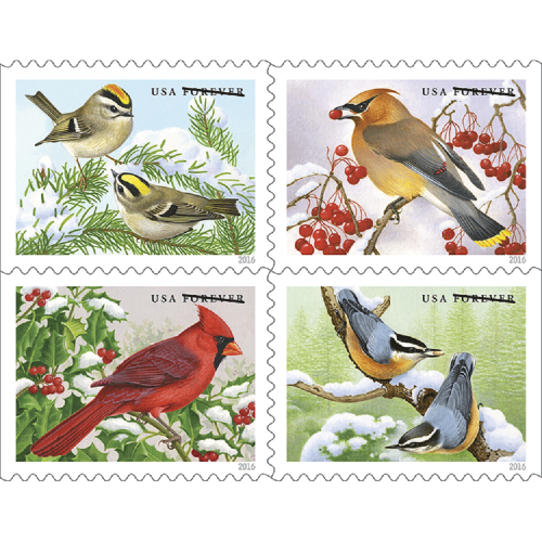 Songbirds in Snow 2016 - 5 Booklets / 100 Pcs