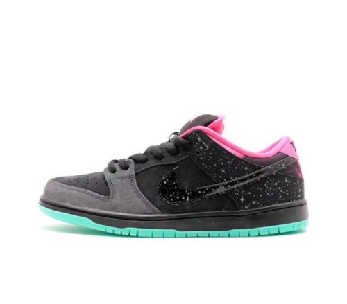 LJR Nike Dunk SB Low Premier Northern Lights