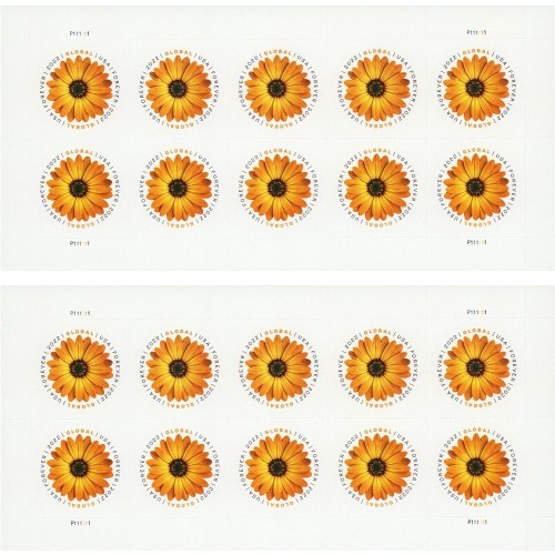 Global African Daisy 2022 - 5 Sheets / 50 Pcs