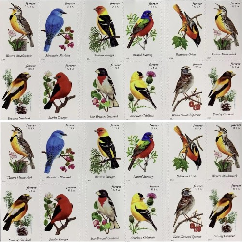 Song Birds 2014 - 5 Booklets  / 100 Pcs