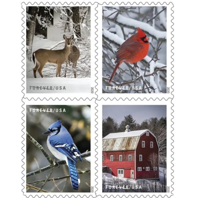 Winter Scenes 2020 - 5 Booklets / 100 Pcs