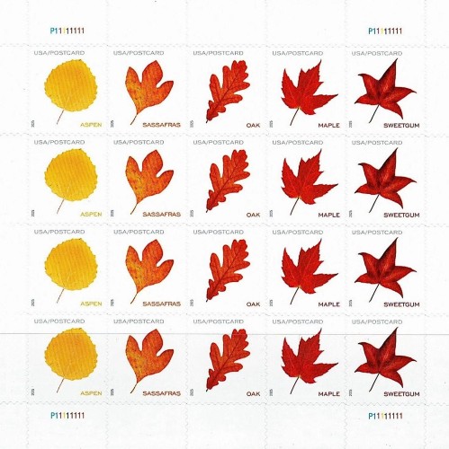 Vibrant Leaves Postcard 2025 - 5 Sheets / 100 Pcs