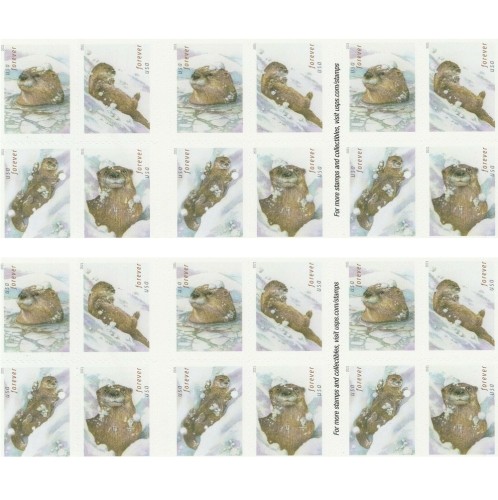 Otters in Snow 2021- 5 Booklets / 100 Pcs