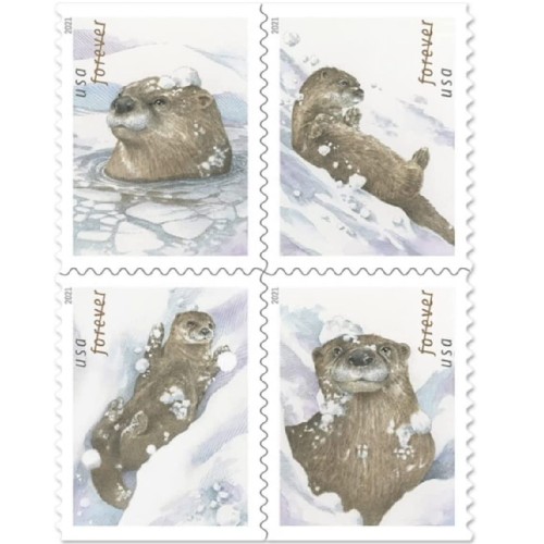 Otters in Snow 2021- 5 Booklets / 100 Pcs