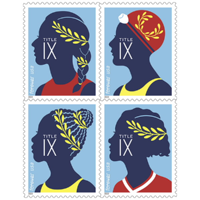 Title IX 2022 - 5 Sheets / 100 Pcs