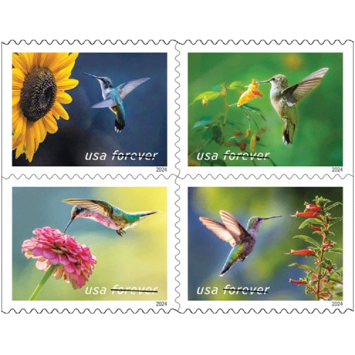 Garden Delights 2024 - 5 Booklets / 100 Pcs