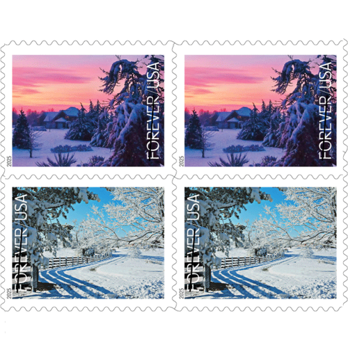 Winter Landscapes 2025 - 5 Booklets / 100 Pcs
