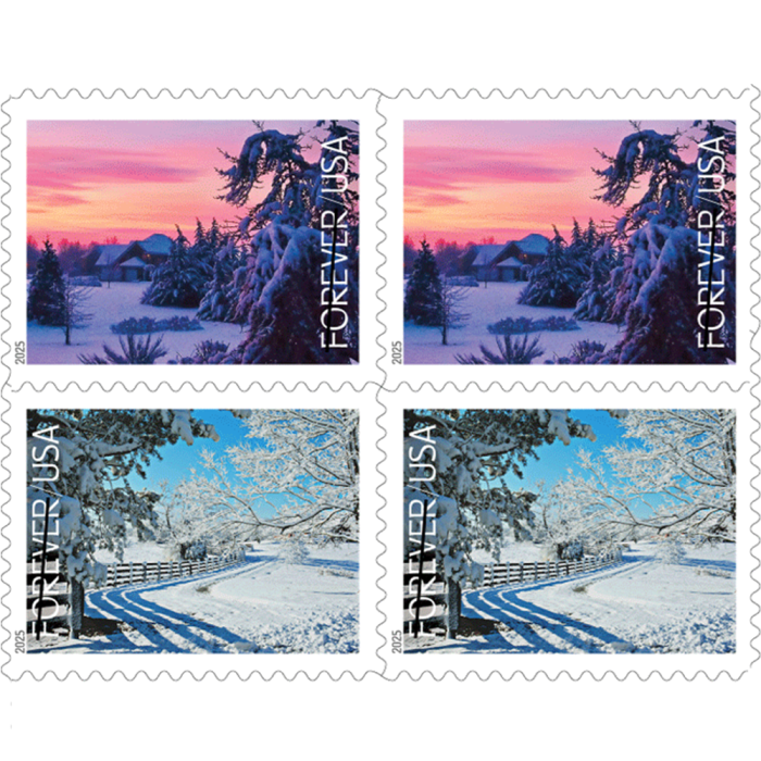 Winter Landscapes 2025 - 5 Booklets / 100 Pcs