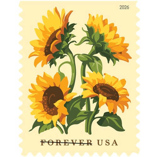 Sunflowers 2026 - 5 Booklets / 100 Pcs