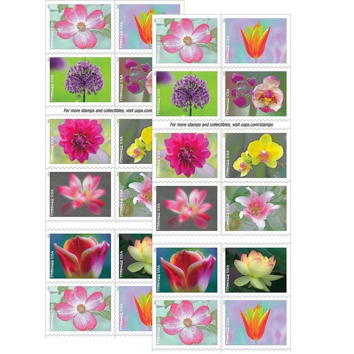 Garden Beauty 2021  - 5 Booklets / 100 Pcs