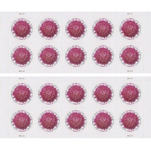 Global Chrysanthemum 2020 - 5 Sheets / 50 Pcs