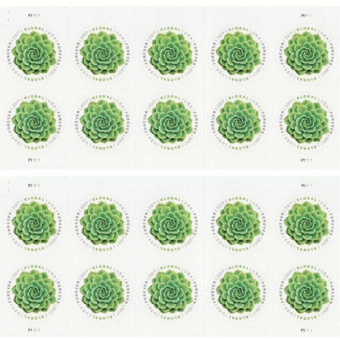 Global Green Succulent 2017 - 5 Sheets / 50 Pcs