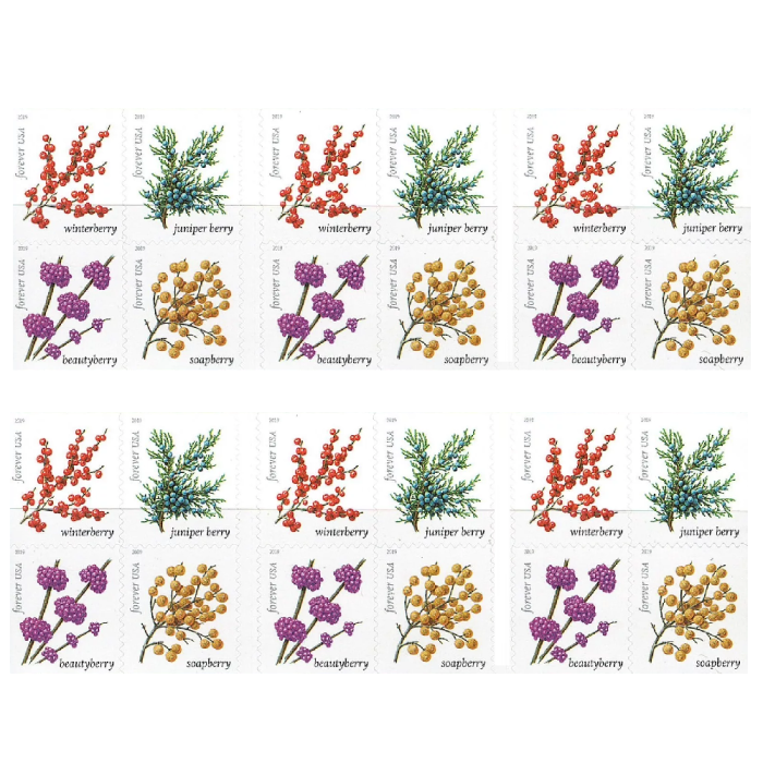 Winter Berries 2019  - 5 Booklets / 100 Pcs