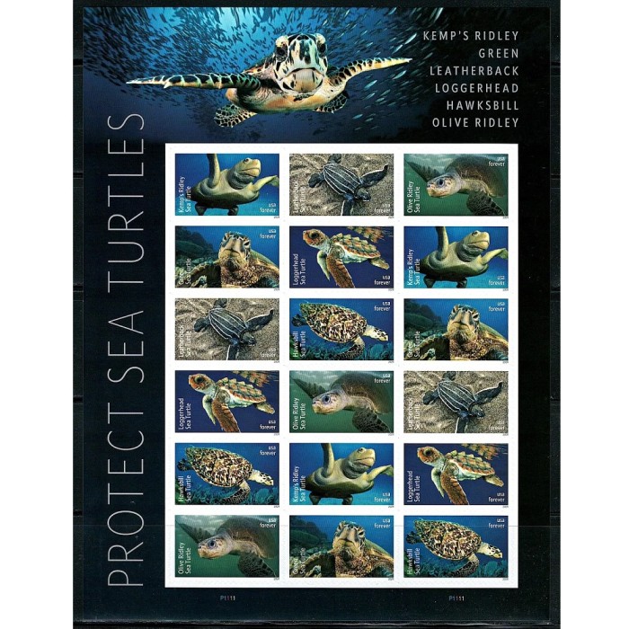 Protect Sea Turtles 2024 - 5 Sheets  / 90 Pcs