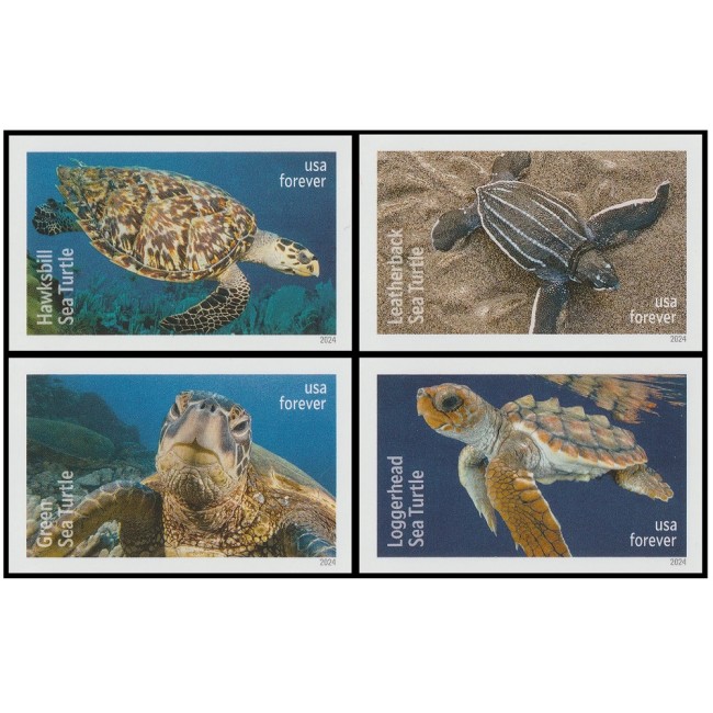 Protect Sea Turtles 2024 - 5 Sheets  / 90 Pcs