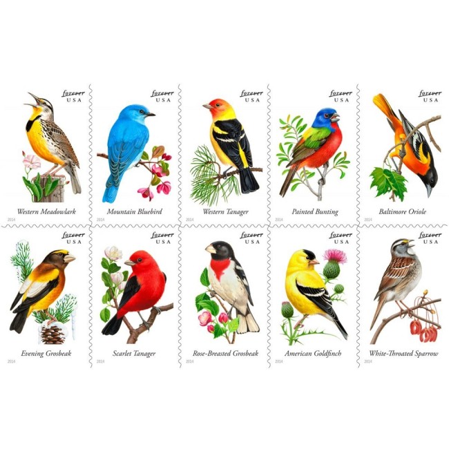 Song Birds 2014 - 5 Booklets / 100 Pcs