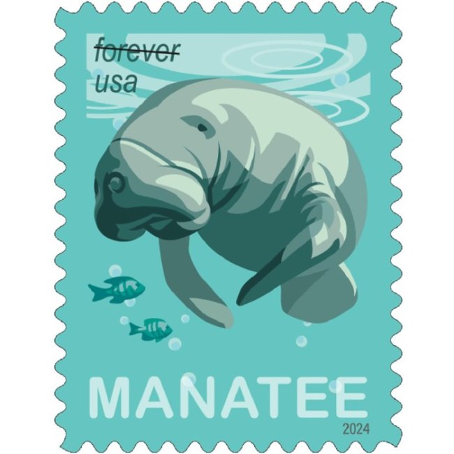 Save Manatees 2024  - 5 Booklets / 100 Pcs
