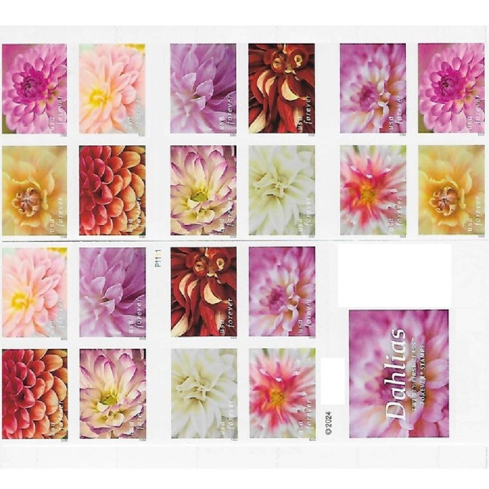 Dahlias 2025 - 5 Booklets / 100 Pcs