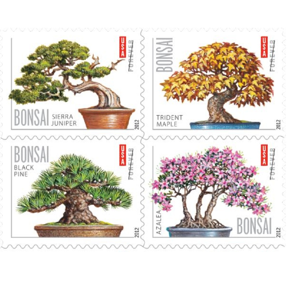 US$ 27.99 - Bonsai 2012 - 5 Booklets / 100 Pcs - www.foreverepost.net