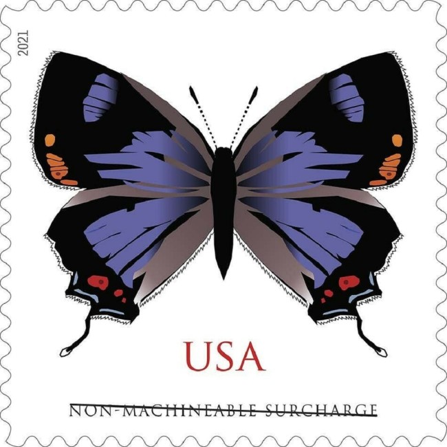 Colorado Hairstreak 2021 - 5 Sheets / 100 Pcs