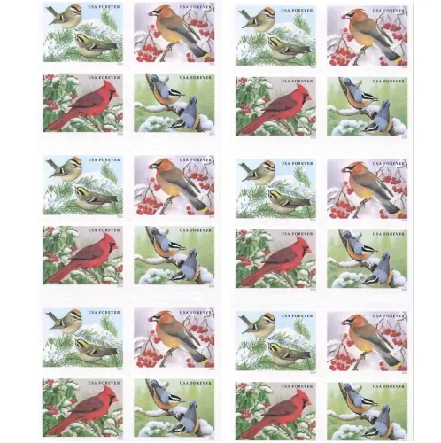 Song Birds 2014 - 5 Booklets / 100 Pcs
