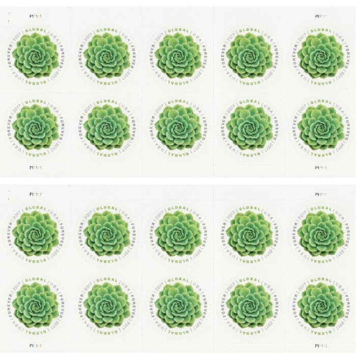 Global Green Succulent 2017 - 5 Sheets / 50 Pcs