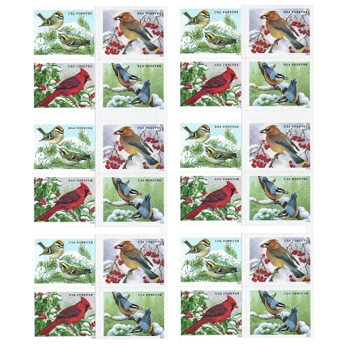 Song birds in Snow 2016 - 5 Booklets / 100 Pcs