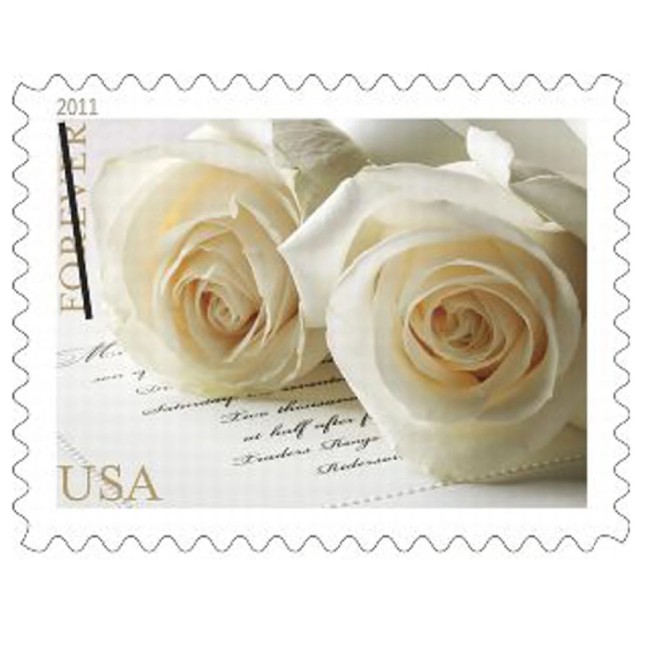 Wedding Roses 2011 - 5 Sheets  / 100 Pcs