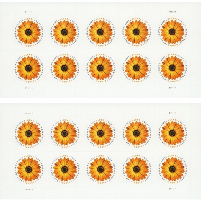 Global African Daisy 2022 - 5 Sheets / 50 Pcs