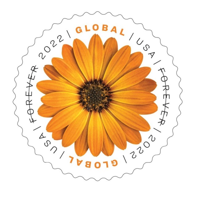 Global African Daisy 2022 - 5 Sheets / 50 Pcs