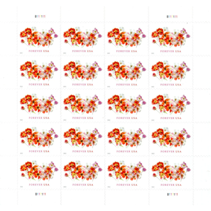 Tulips 2022 - 5 Sheets  / 100 Pcs