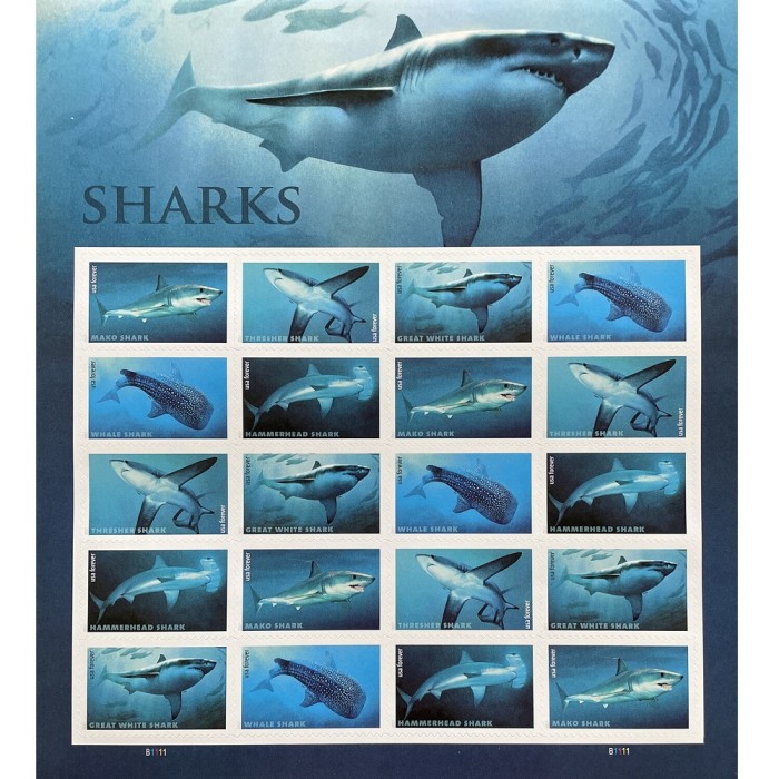 Sharks 2017 - 5 Sheets  / 100 Pcs