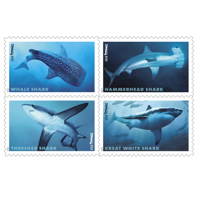 Sharks 2017 - 5 Sheets  / 100 Pcs