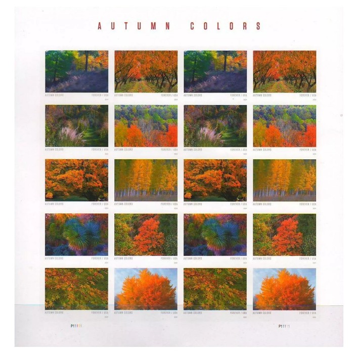 Autumn Colors 2024 - 5 Sheets  / 100 Pcs