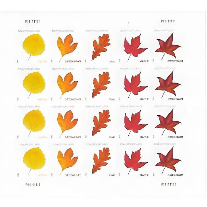 Vibrant Leaves Postcard 2025 - 5 Sheets  / 100 Pcs