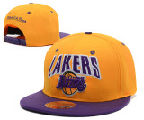 NBA los  lakers (18)