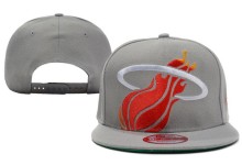 NBA Miami Heat Snapback_248