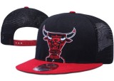 NBA Chicago Bulls Mesh Snapback