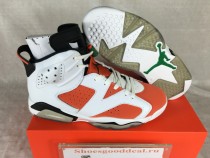 Authentic Air Jordan 6 White Gatorade