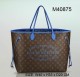 LV Handbags AAA-252