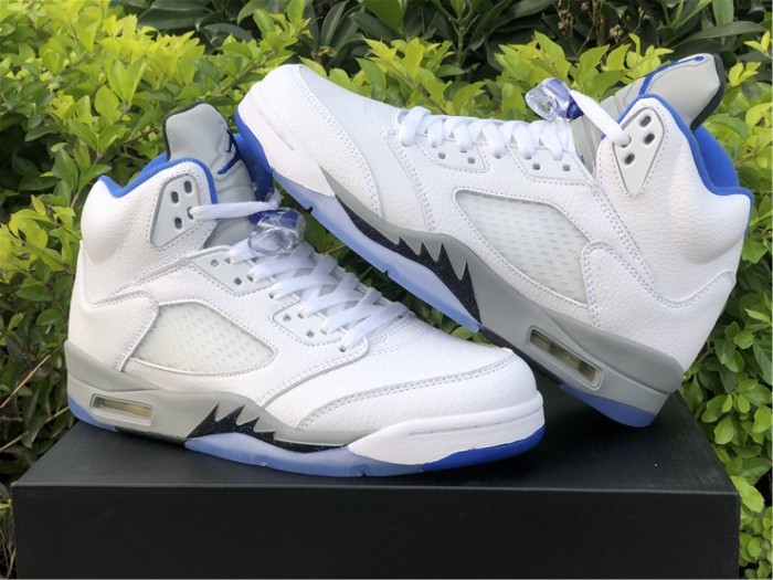 Air Jordan 5 Retro White Stealth DD0587-140