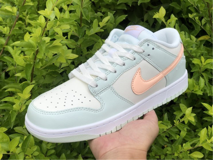 Nike SB Dunk Low DD1503-104