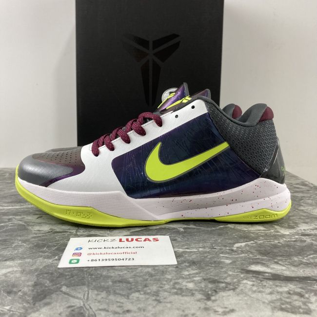 Kobe 5 Protro Chaos  CD4991-100