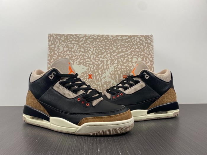 Air Jordan 3 Retro Desert Elephant  CT8532-008