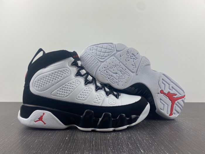 Air Jordan 9 Retro OG  302370-112